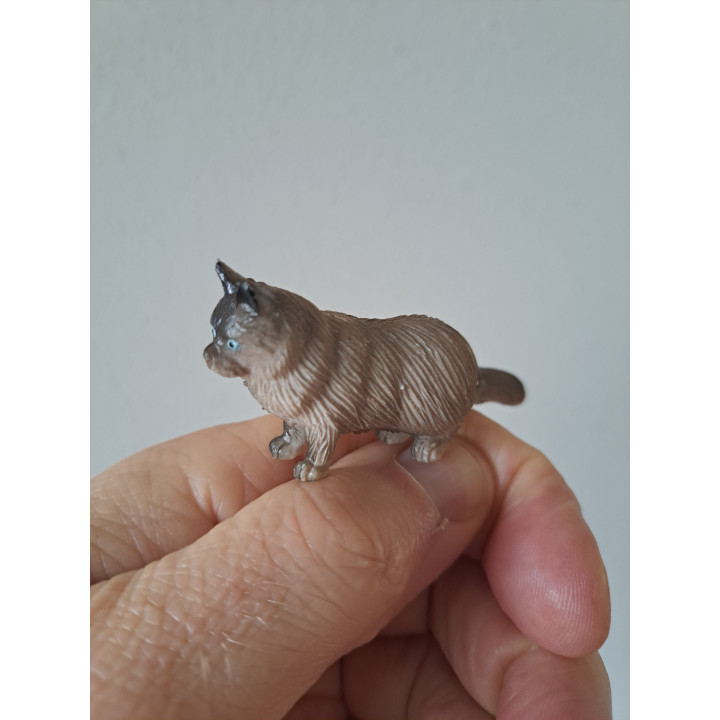 Birmaan poes, rubber 6.5x2x3cm
