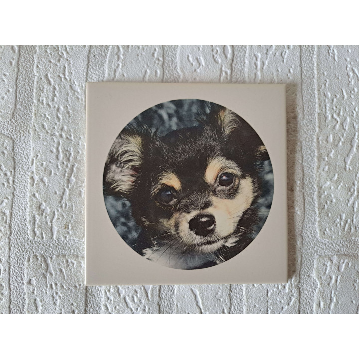 Wandtegel met Chihuahua hond, aardewerk 15x15x0.5cm - handgemaakt