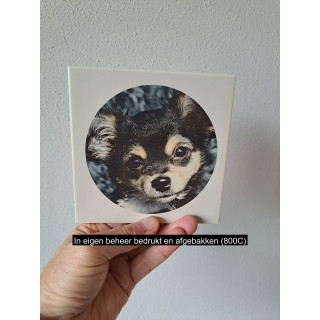 Wandtegel met Chihuahua hond, aardewerk 15x15x0.5cm