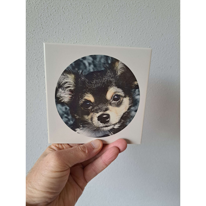 Wandtegel met Chihuahua hond, aardewerk 15x15x0.5cm - handgemaakt