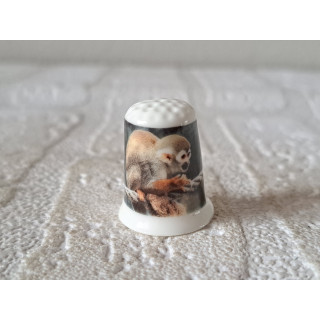 Doodshoofdaapje zittend op touw vingerhoedje