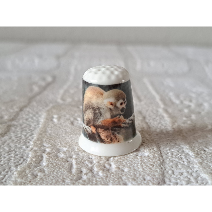 Doodshoofdaapje zittend op touw vingerhoedje