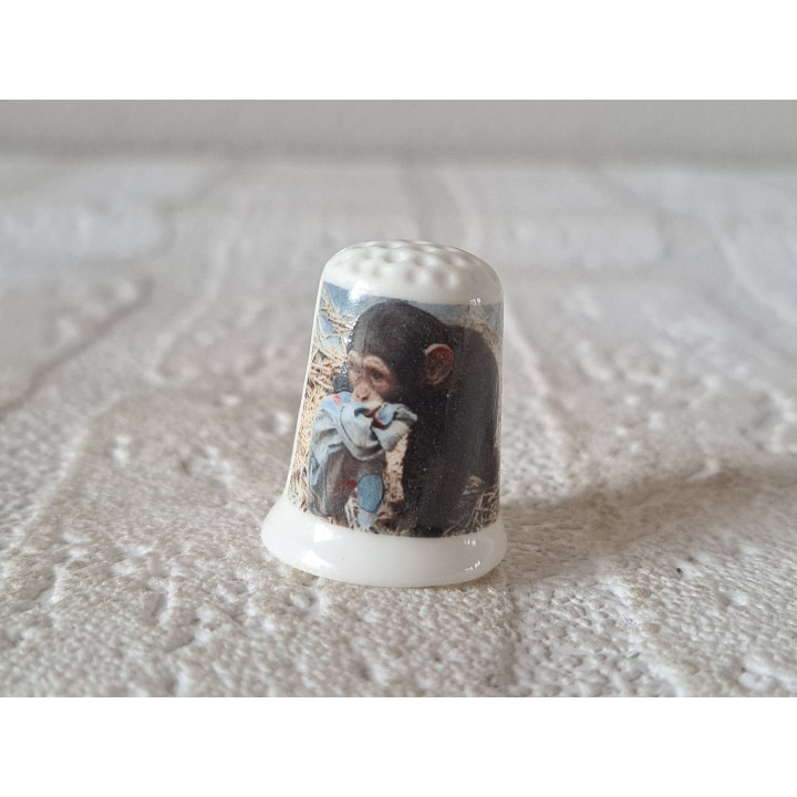 Chimpansee jong met knuffel in bek vingerhoedje