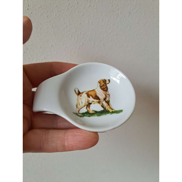 Amuseschaal met springer Spaniel hond porselein 9x7x2cm - handgemaakt