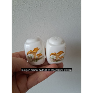 Paddenstoelen peper en zoutstel, porselein 3.5x3.5x5.5cm