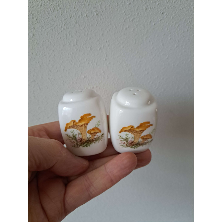Paddenstoelen peper en zoutstel, porselein 3.5x3.5x5.5cm - peper en zoutstellen