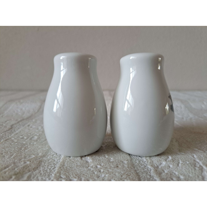 Curtiss JN4 vliegtuig peper en zoutstel, porselein D4xH6cm - peper en zoutstellen