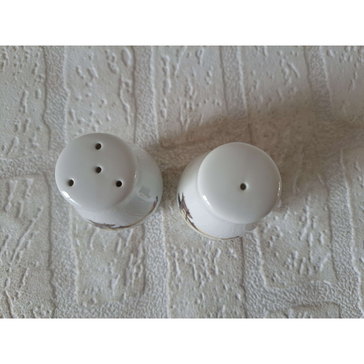 Curtiss JN4 vliegtuig peper en zoutstel, porselein D4xH6cm - peper en zoutstellen