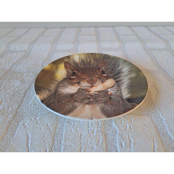 Eekhoorn eet een pinda wandbord, porselein D16cm - handgemaakt