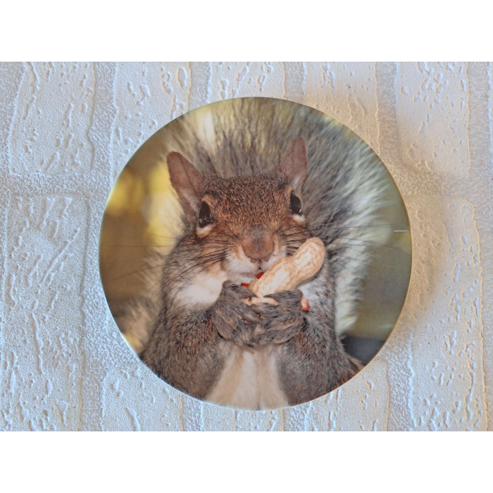 Eekhoorn eet een pinda wandbord, porselein D16cm - handgemaakt