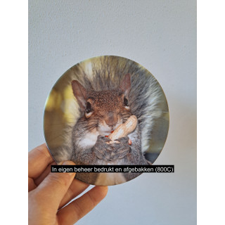 Eekhoorn eet een pinda wandbord, porselein D16cm