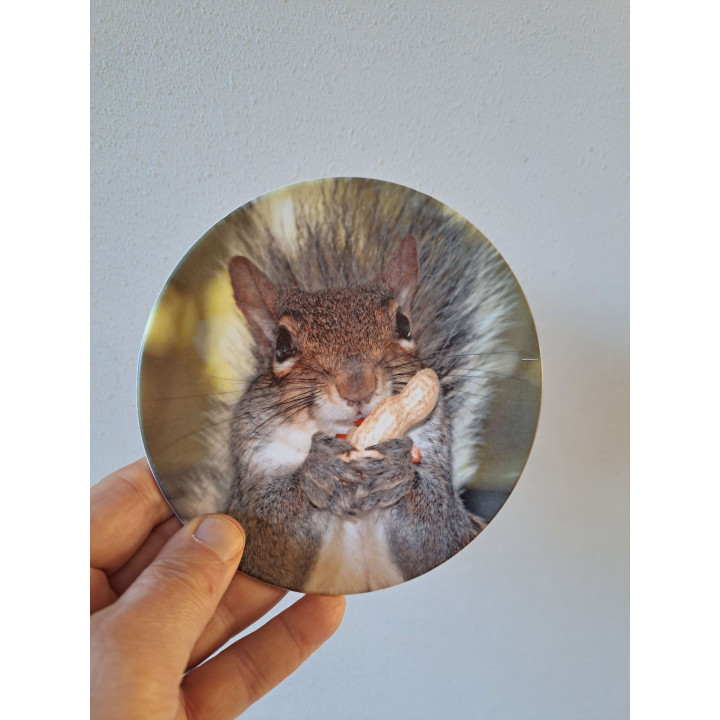Eekhoorn eet een pinda wandbord, porselein D16cm - handgemaakt