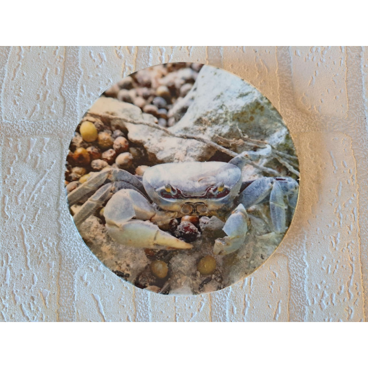 Krab wandbord, porselein D16cm - handgemaakt