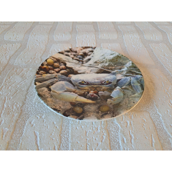 Krab wandbord, porselein D16cm - handgemaakt