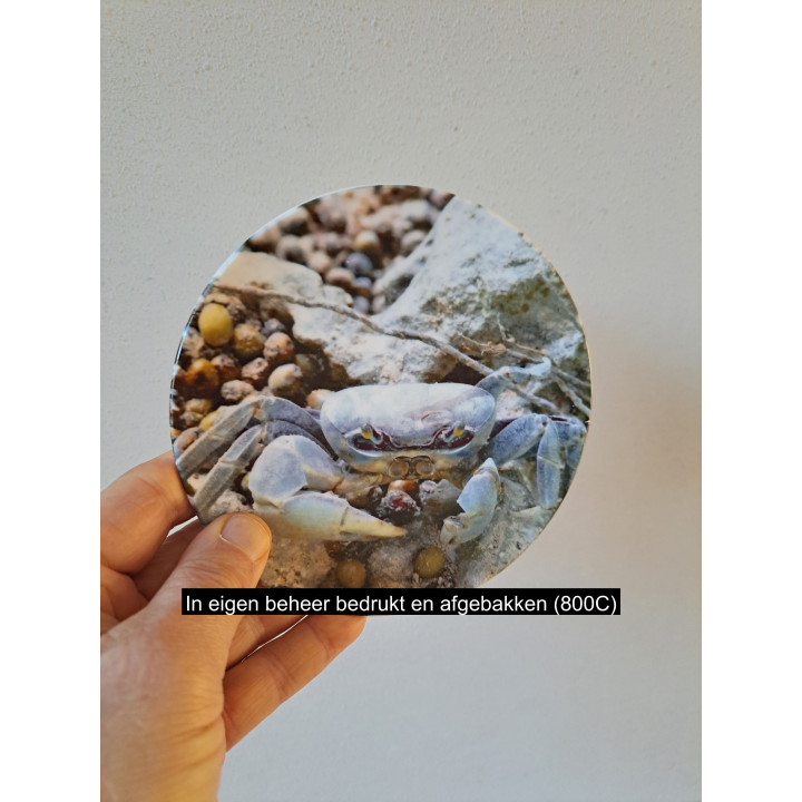 Krab wandbord, porselein D16cm