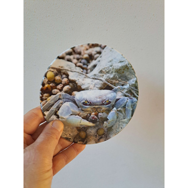 Krab wandbord, porselein D16cm - handgemaakt