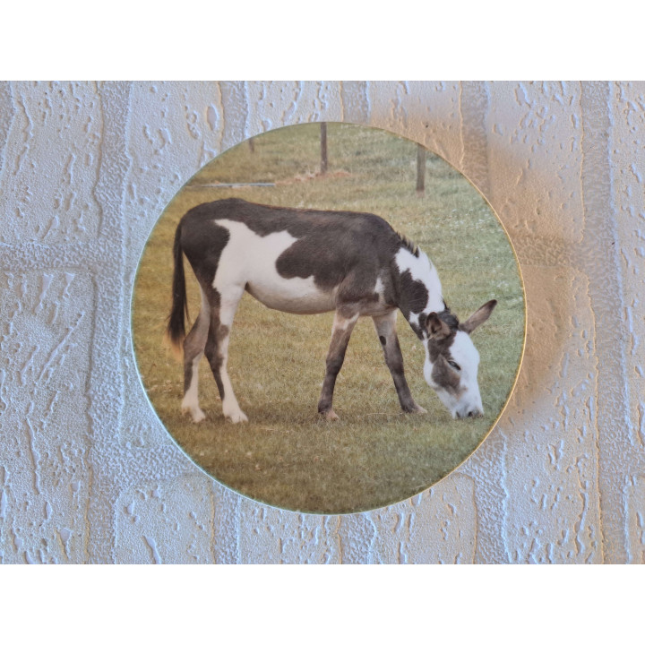 Ezel eet gras wandbord, porselein D16cm - handgemaakt
