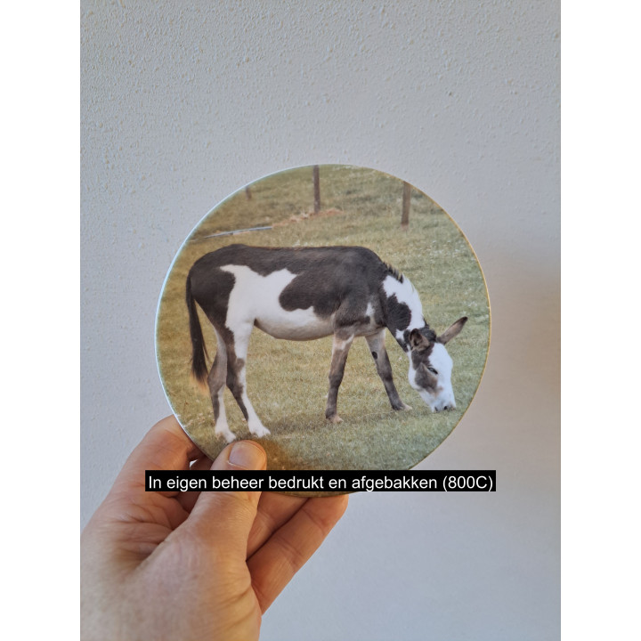 Ezel eet gras wandbord, porselein D16cm