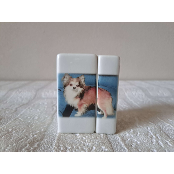 Chihuahua hond, peper en zoutstel, porselein 5x4x7cm - peper en zoutstellen