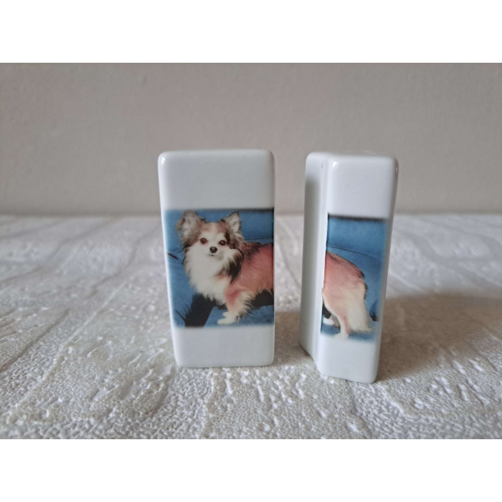 Chihuahua hond, peper en zoutstel, porselein 5x4x7cm - peper en zoutstellen