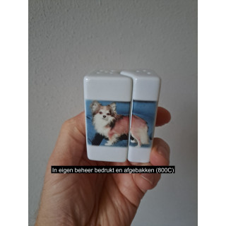 Chihuahua hond, peper en zoutstel, porselein 5x4x7cm