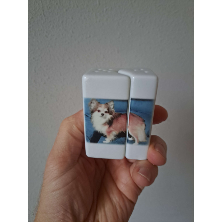 Chihuahua hond, peper en zoutstel, porselein 5x4x7cm - peper en zoutstellen