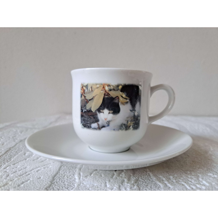 Kop en schotel Poes tussen de struiken porselein D13.5x7.5cm - handgemaakt