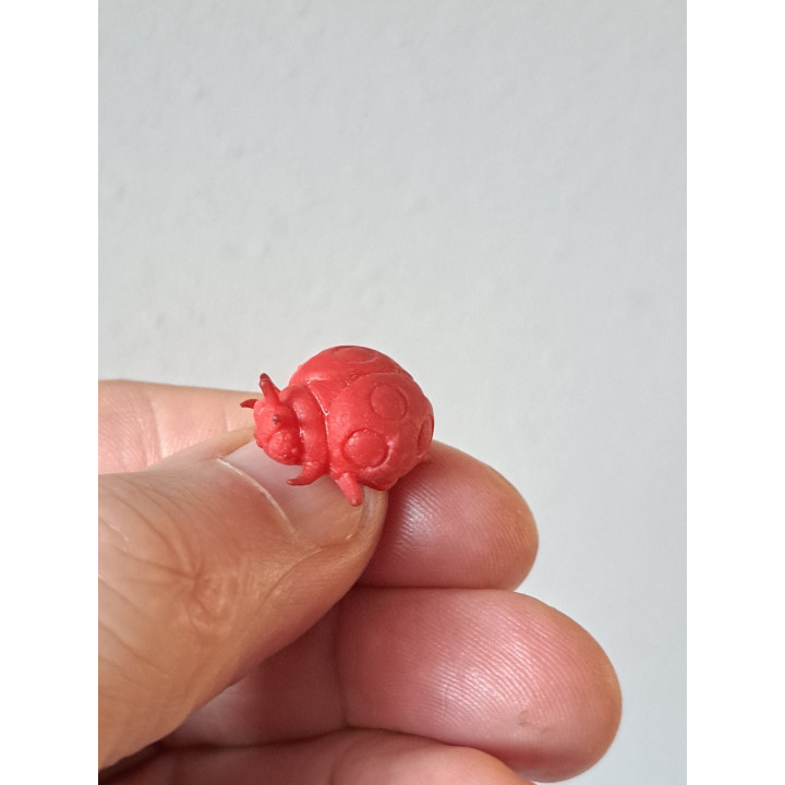 Lieveheersbeestje, rubber 2x1.5x1cm