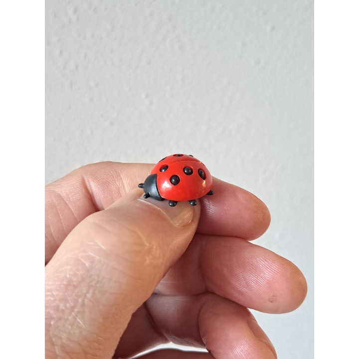 Lieveheersbeestje, kunststof 2x2x1cm