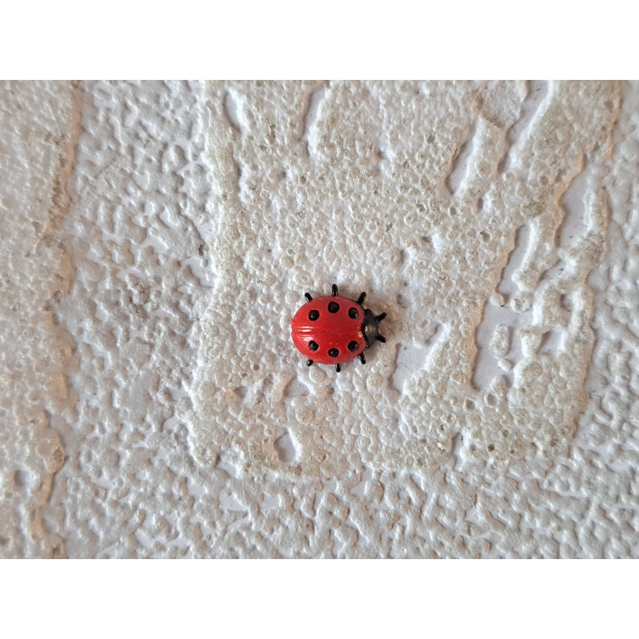 Lieveheersbeestje, kunststof 1x1x0.3cm - Verzamelobjecten