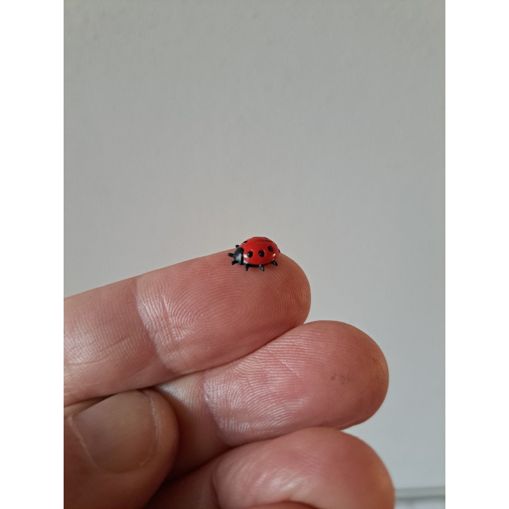 Lieveheersbeestje, kunststof 1x1x0.3cm