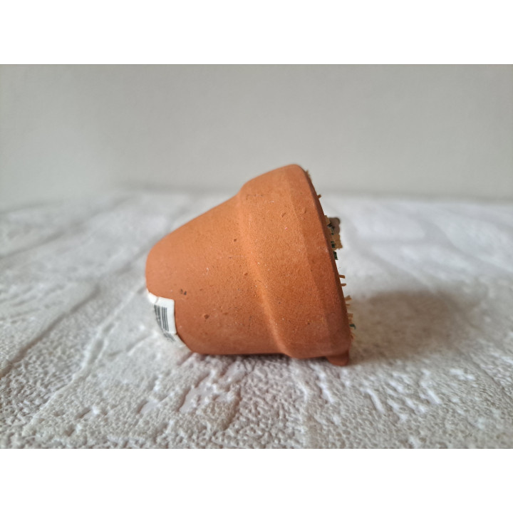 Konijn van kunsthars in aardewerk bloempot D4.5x4.5cm - beeldjes