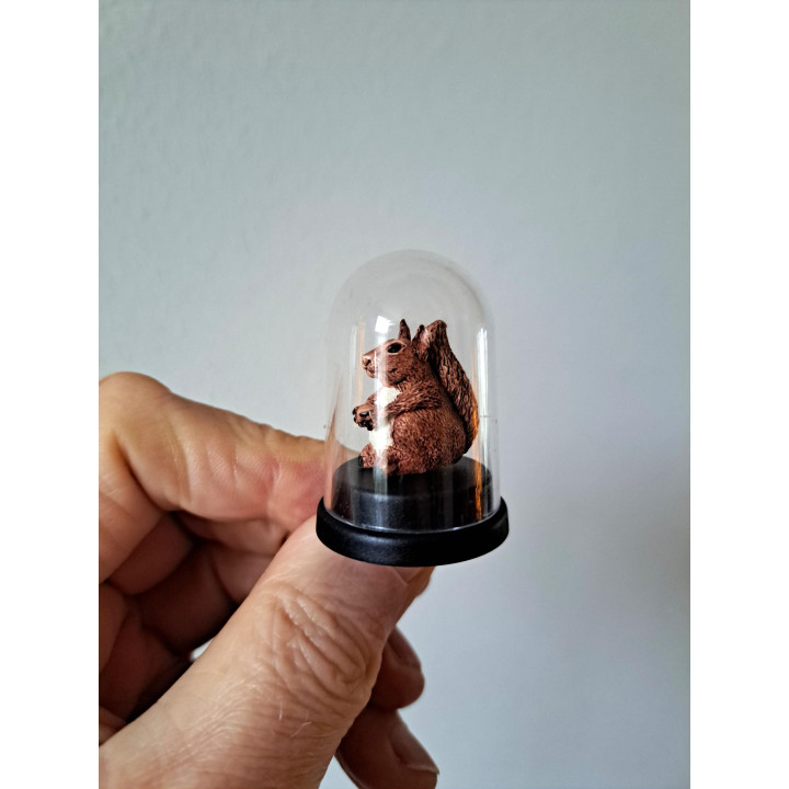 Eekhoorn in kunststof stolpje, kunsthars D3xH4.5cm