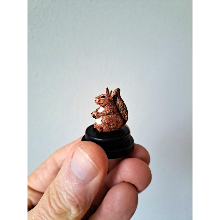 Eekhoorn in kunststof stolpje, kunsthars D3xH4.5cm -dierfiguren
