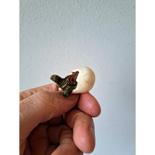 Schildpad jong kruipt uit ei, kunsthars 4x2x2cm