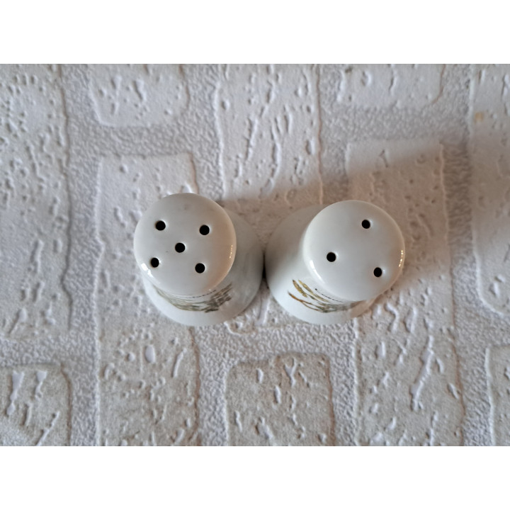 Lotus Corniculatus peper en zoutstel, porselein D7xH7cm - peper en zoutstellen