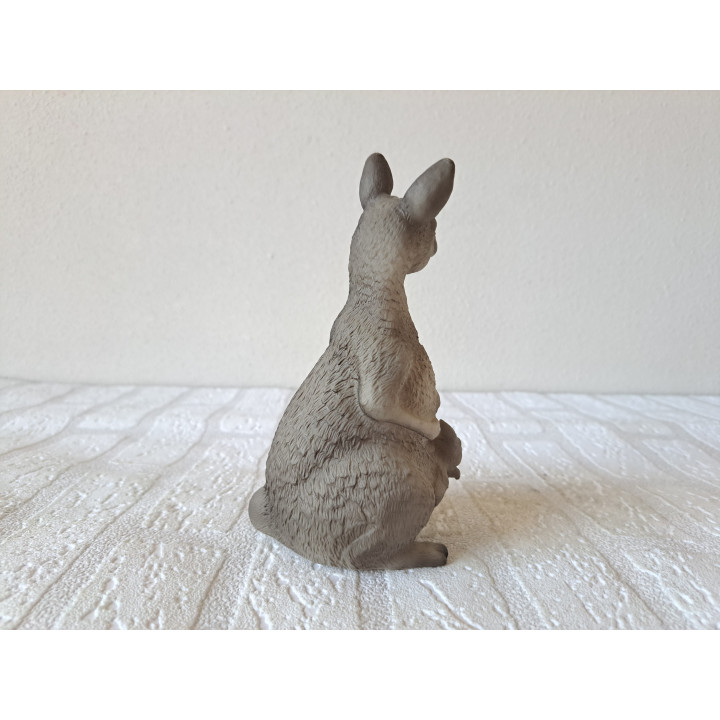 Kangoeroe met jong voor in de tuin, hard rubber 9x10x17cm - dierfiguren