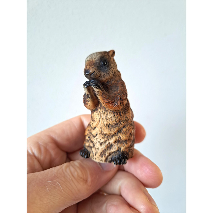 Marmot, Faro Italie, kunsthars 3.5x4x7cm