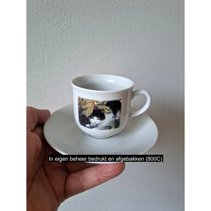 Kop en schotel Poes tussen de struiken porselein D13.5x7.5cm