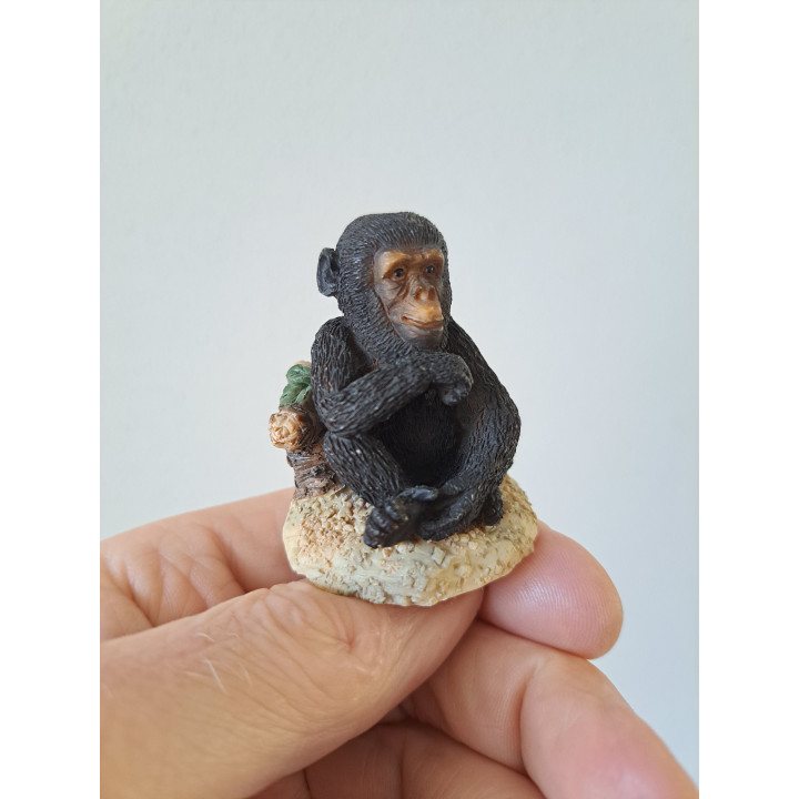Zittende chimpansee aap, kunsthars D4xH5cm