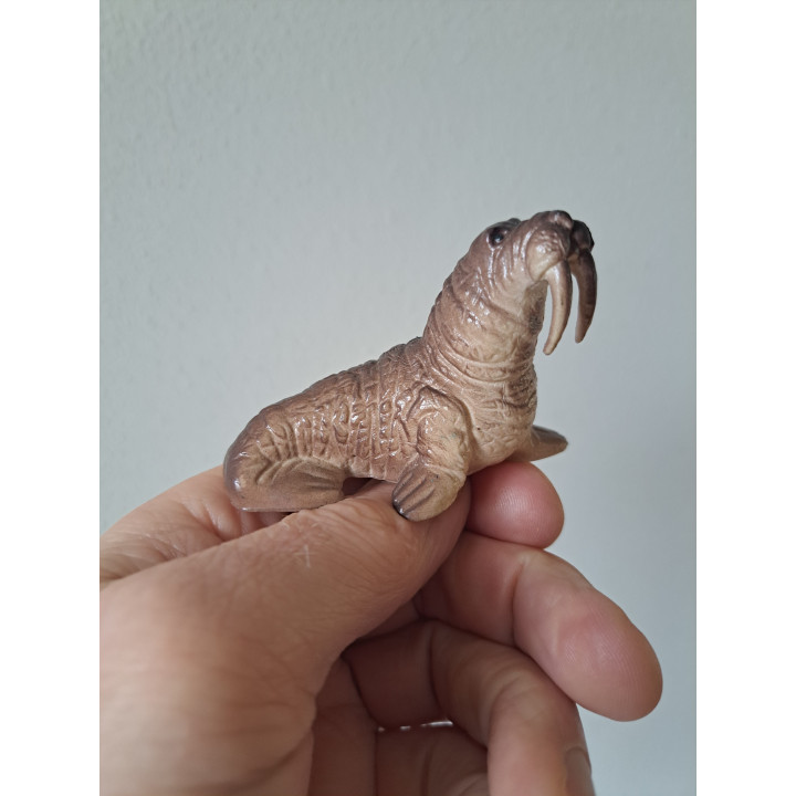 Walrus van Newray, hard rubber 7x3.5x5cm