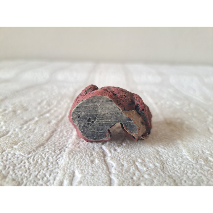 Eekhoorn met nootje, kunsthars 4.5x3x4.5cm - beeldjes