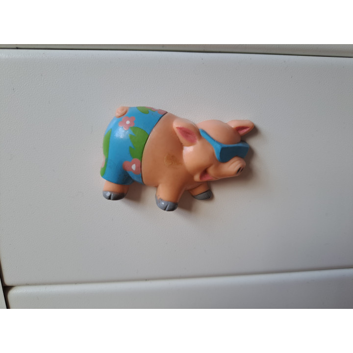 Varken keukenmagneet, kunststof 5.5x4x1.5cm - keukenmagneten