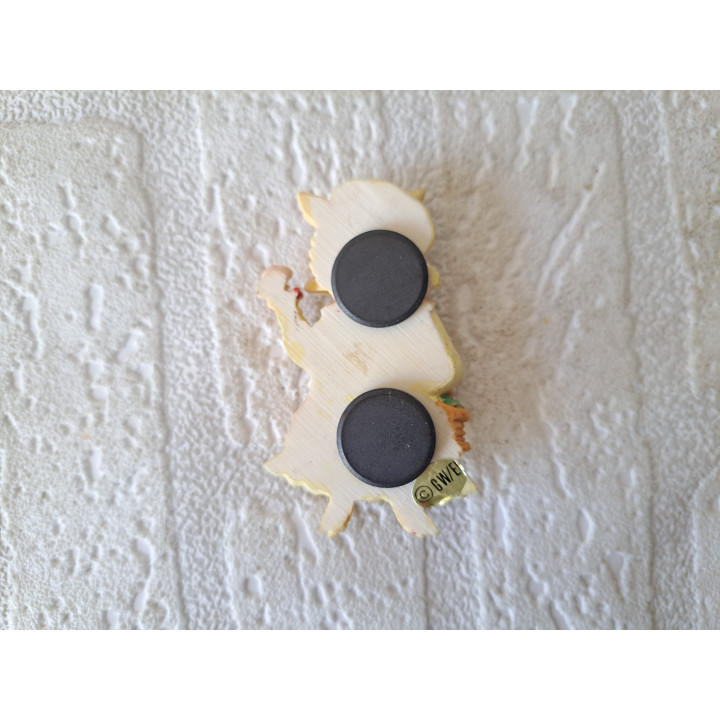 Varken met jurk keukenmagneet, kunsthars 4.5x1.5x7.5cm - keukenmagneten