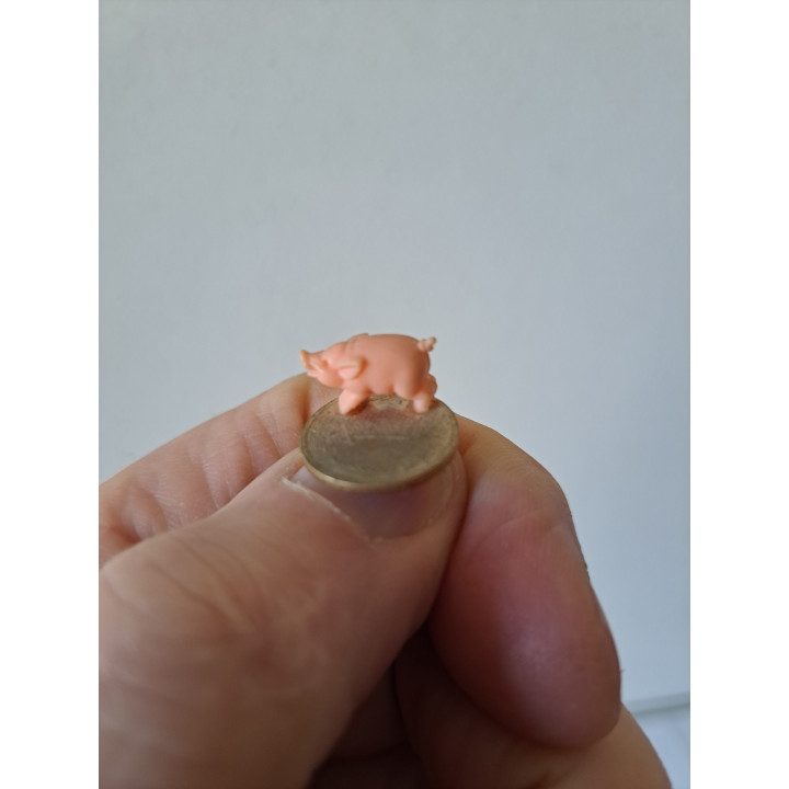 Varken van kunststof op een 1 Pfennig, D1.5xH1cm
