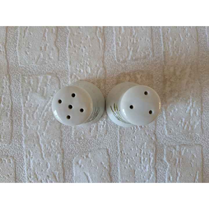 Lotus en Anthyllis peper en zoutstel, porselein D7xH7cm - peper en zoutstellen