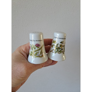 Lotus en Anthyllis peper en zoutstel, porselein D7xH7cm