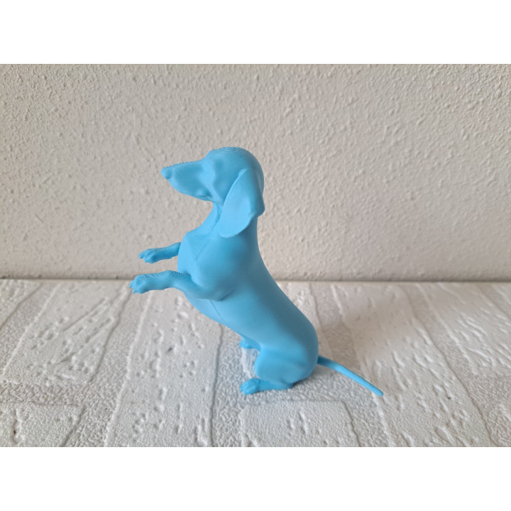 Lichtblauw 3d print Teckel hond, PLA 10x3.5x10cm - dierfiguren