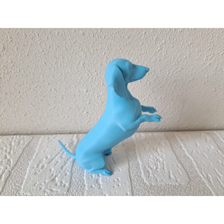 Lichtblauw 3d print Teckel hond, PLA 10x3.5x10cm - dierfiguren