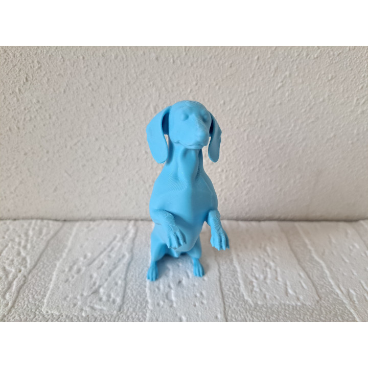 Lichtblauw 3d print Teckel hond, PLA 10x3.5x10cm - dierfiguren